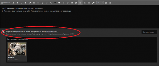 Screenshot_2018-09-29 Создать новую запись - Adult Mods Localized.png