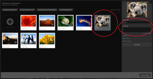 Screenshot_2018-09-30 Галерея - Adult Mods Localized(3).png