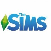 The SIMS
