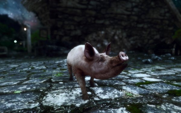 TESV 2017-12-28 22-29-03-64.jpg