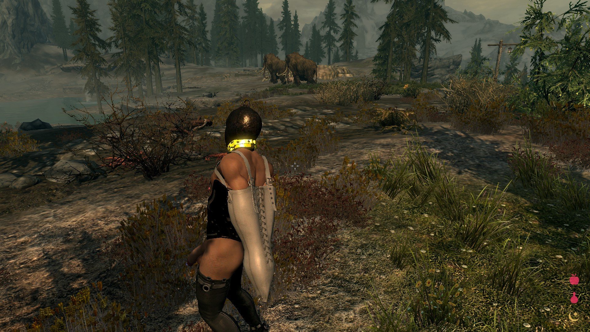 Devious Devices for Him (Reboot) SE и LE Rus