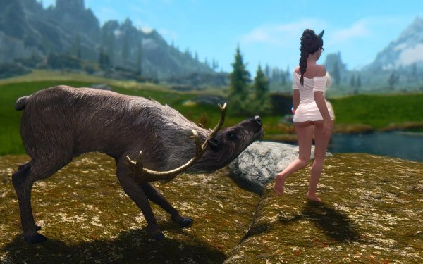 Сюжетная линия. Даника.