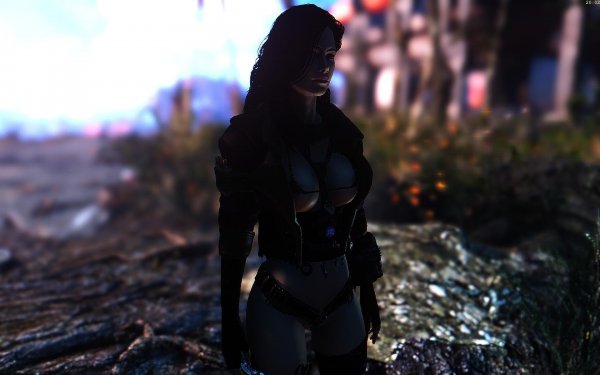 Fallout4 Сборка 5