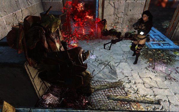 Fallout4 Сборка 5