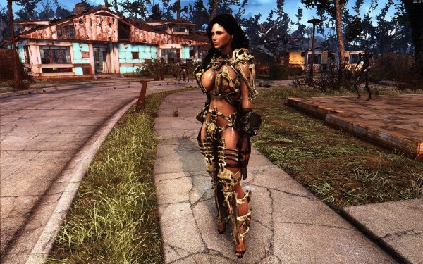 Fallout4 2018-12-28 10-57-23-86