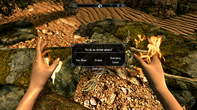 SkyrimSE 2019-01-07 22-41-04.png