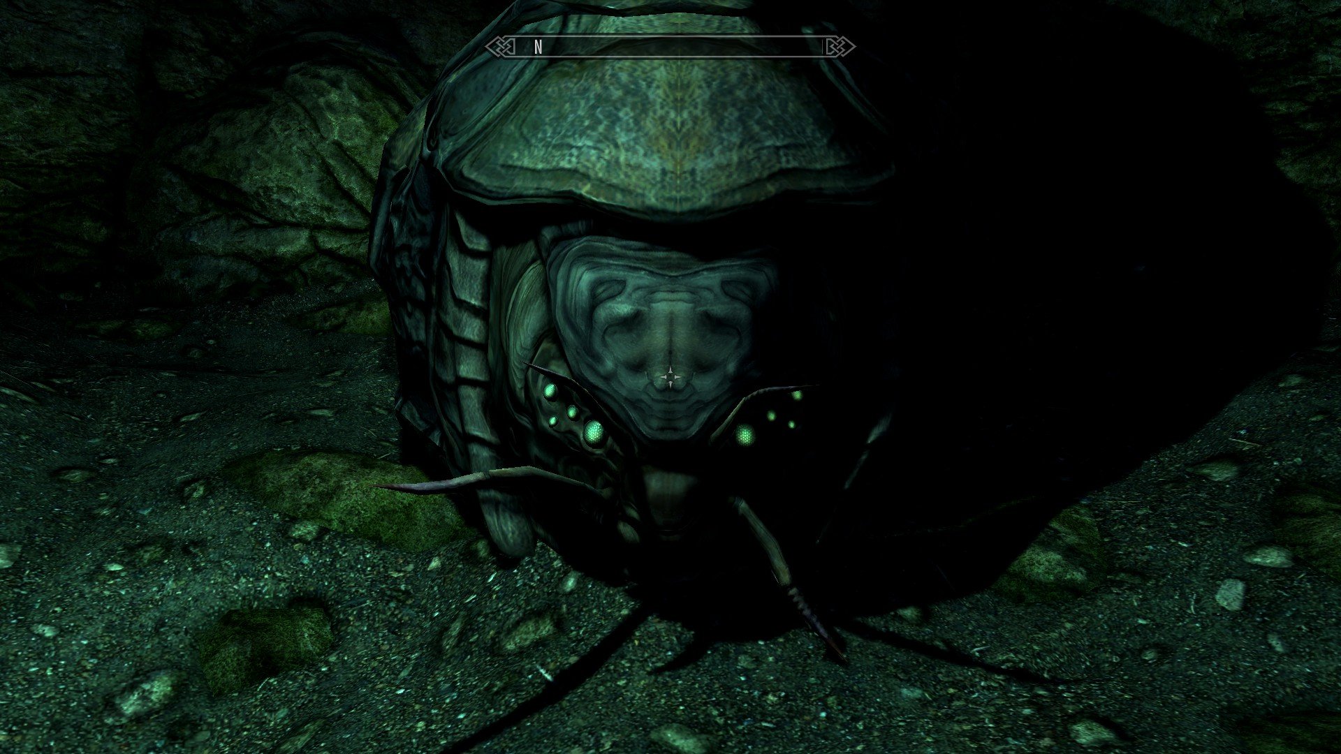 Save The Shellbugs SE