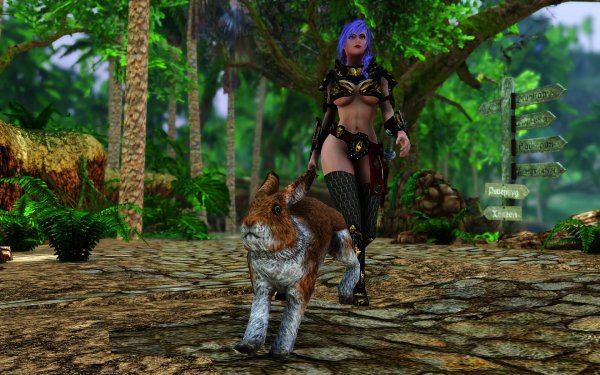 SkyrimSE 2019-01-06 22-12-29-83