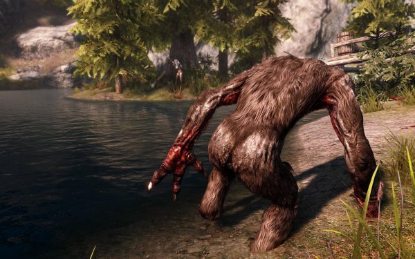 SkyrimSE 2019-01-25 10-16-05-05