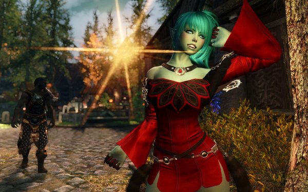 Все равно стану Довакином...