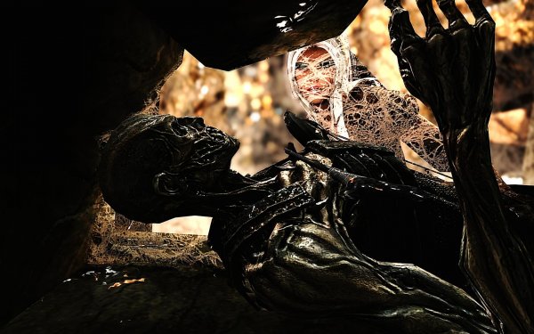 SkyrimSE 2019-01-14 11-07-18-74