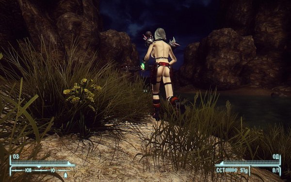 FalloutNV 2019-01-07 21-17-54-35