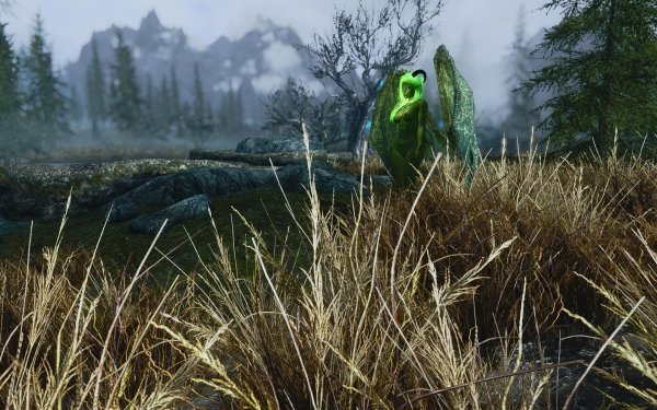 TESV 2019-01-11 19-47-09-57