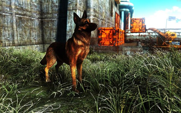 Fallout4 2019-01-19 13-54-19-24