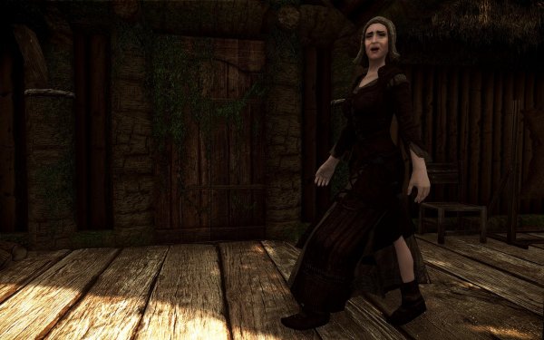 SkyrimSE 2019-01-02 09-57-22-63