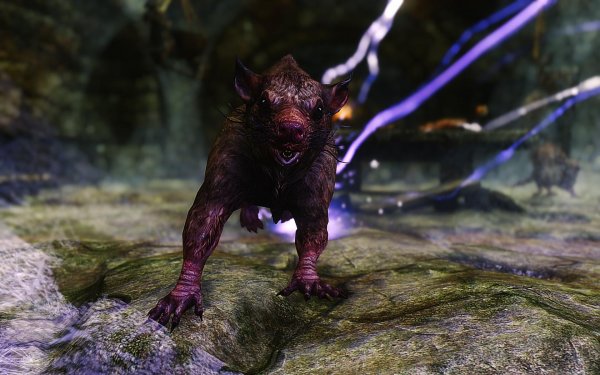 SkyrimSE 2019-01-14 10-38-41-94