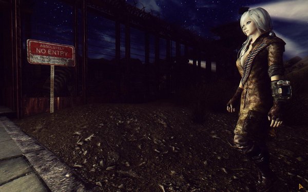 FalloutNV 2019-01-28 10-53-10-60