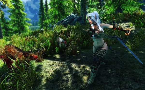 SkyrimSE 2019-01-17 11-53-24-96