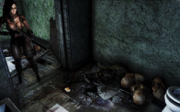 Fallout4 2019-01-13 11-27-52-20