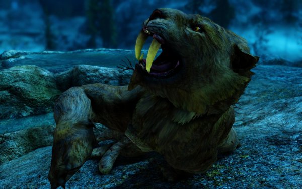 SkyrimSE 2019-01-28 13-12-01-04