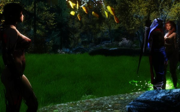 TESV 2019-01-27 14-10-57-25