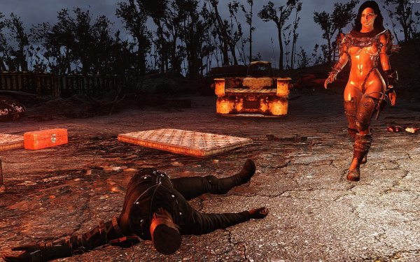 Fallout4 2019-01-09 14-12-22-70