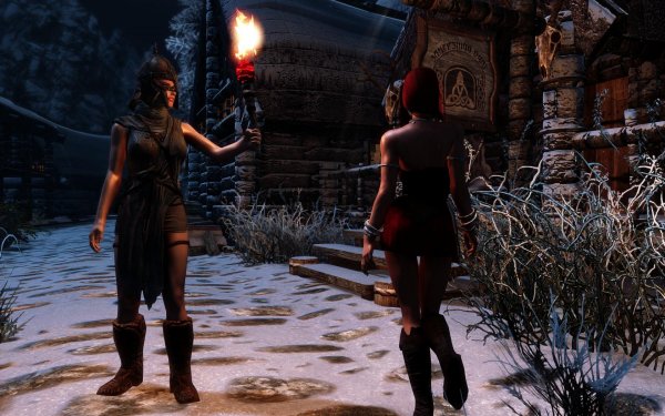 SkyrimSE 2019-01-31 11-54-04-96