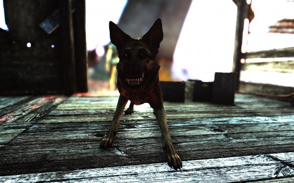 Fallout4 2019-01-03 20-48-53-95