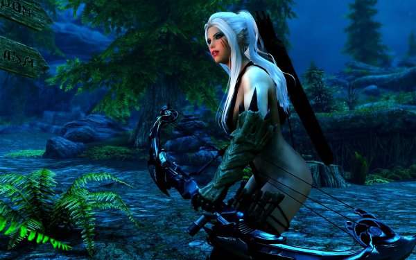 SkyrimSE 2019-01-13 14-07-47-71