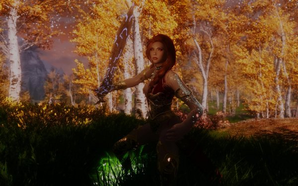 TESV 2019-01-27 13-41-23-37