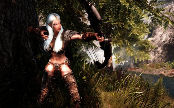 SkyrimSE 2019-01-25 10-15-20-60