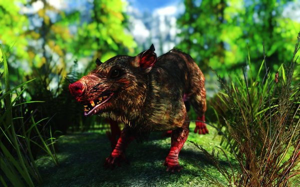 SkyrimSE 2019-01-17 11-53-54-56