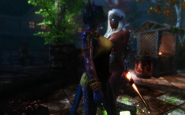 TESV 2019-01-26 19-46-56-28