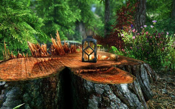 SkyrimSE 2019-01-10 19-38-36-89