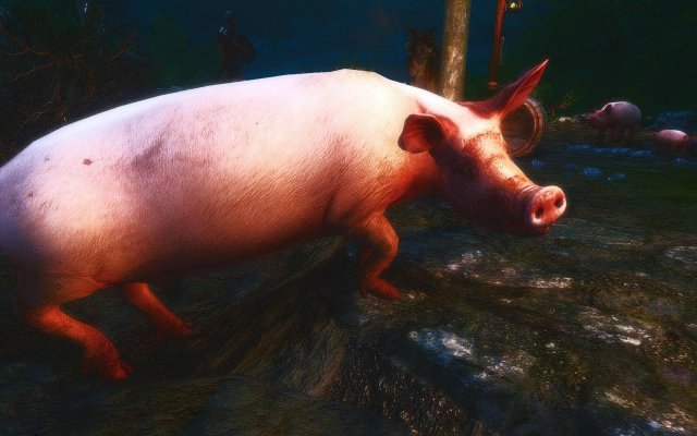 TESV 2018-01-02 20-45-05-89.jpg