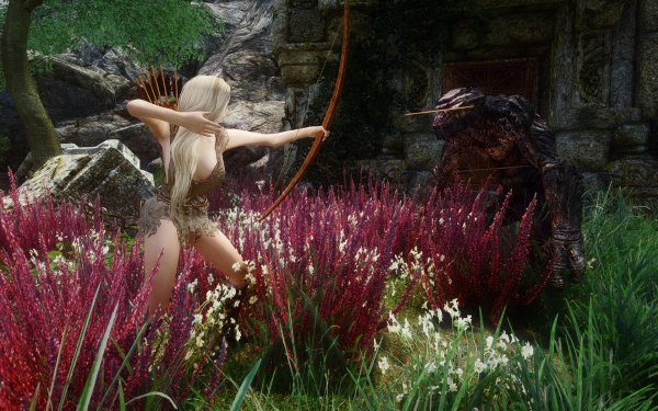 TESV 2019-02-25 13-38-00-24