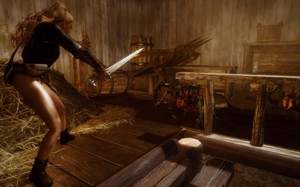 TESV 2019-02-24 11-34-18-24