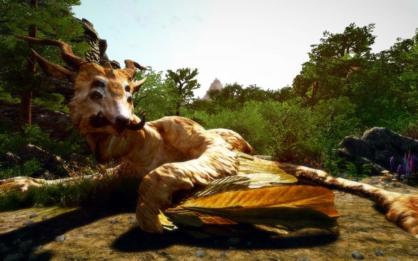 TESV 2019-02-27 14-13-28-88