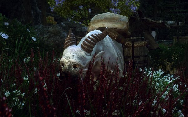 TESV 2019-02-24 10-30-22-15