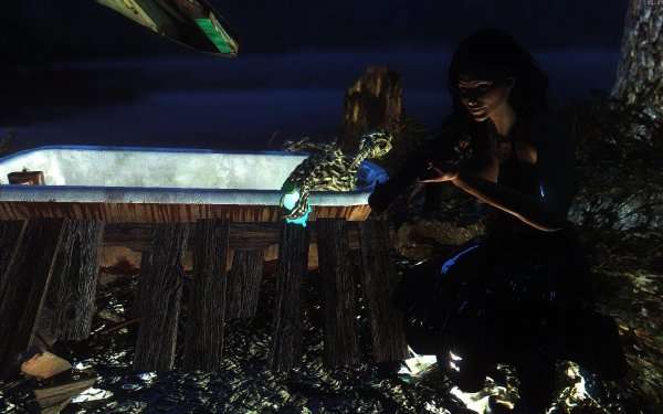 Fallout4 2019-02-12 11-27-18-28