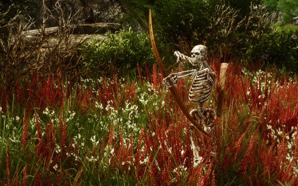 TESV 2019-02-25 14-19-04-57