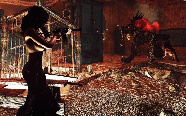 Fallout4 2019-02-12 13-11-33-55