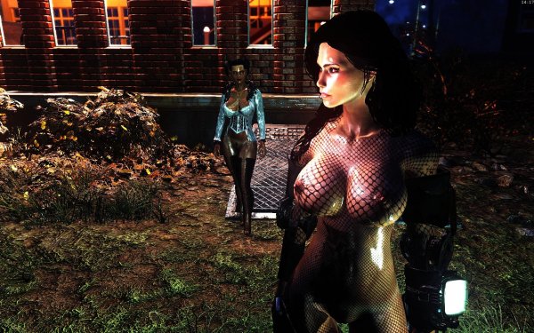 Fallout4 2019-02-03 14-17-29-24