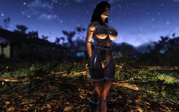 Fallout4 2019-02-12 22-17-59-72