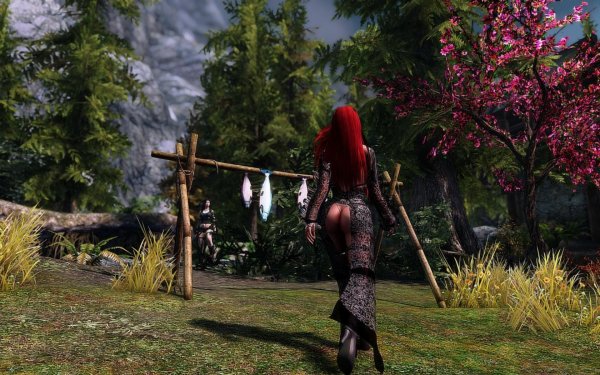 SkyrimSE 2019-02-18 13-25-43-22