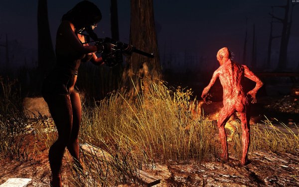 Fallout4 2019-02-07 10-30-15-66