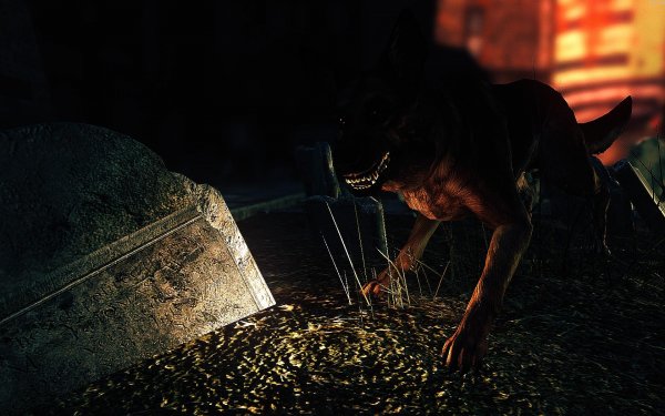 Fallout4 2019-02-13 12-54-24-37