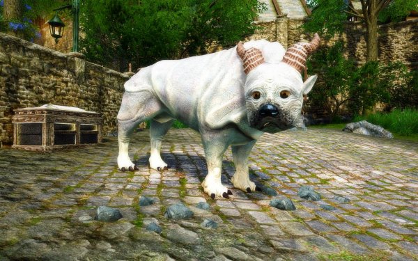 TESV 2019-02-27 21-32-57-14