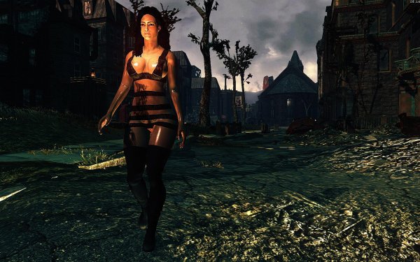 Fallout4 2019-02-13 14-14-42-63