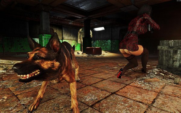 Fallout4 2019-02-08 14-29-16-87